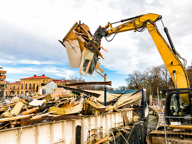 Yard Cleanup Services in St Petersburg, FL